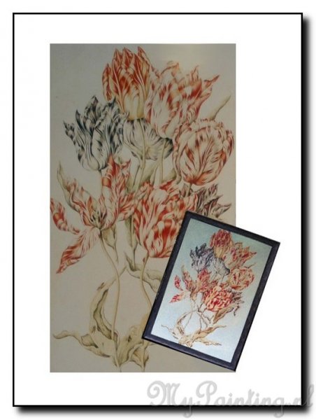 foto-schilderij-bloemen-alaska-tulpen-my-painting