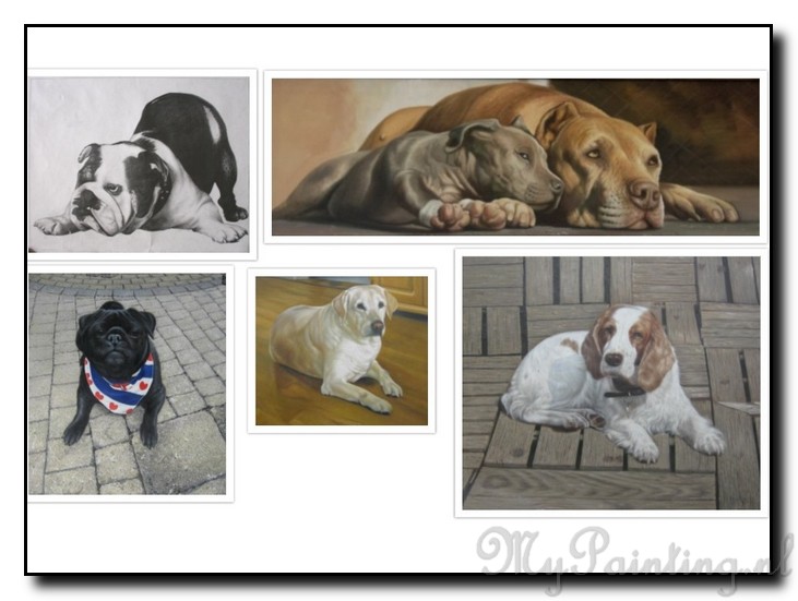 foto-schilderij-hond-laten-maken-voorbeelden-nasch