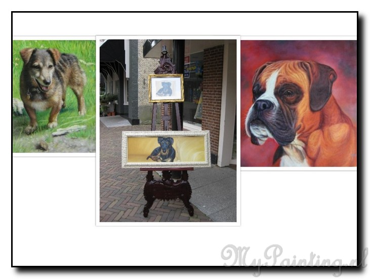 foto-voorbeelden-schilderij-hond-laten-maken-nasch