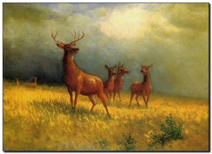 Schilderij Bierstadt, Deer in Field 1885