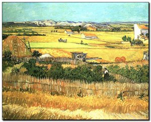 Schilderij VanGogh, fields