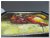 schilderij abstract tros druiven en fruit