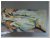 60x120cm 3D schilderij 00007 schilderij abstract fantasie