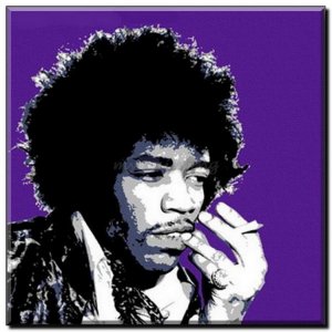 Schilderij Purple Jimmy